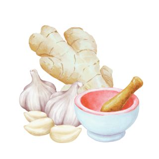 Basis Gewuerze im Ayurveda Gewürze im Ayurveda als Basis
