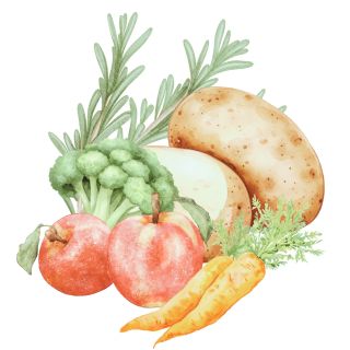Basis der ayurvedischen Ernaehrung Basis der ayurvedischen Ernährung