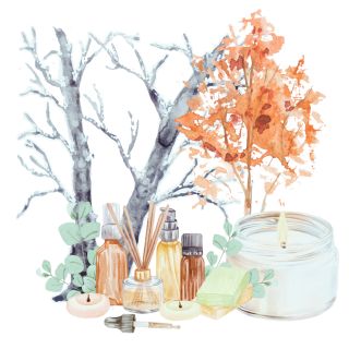 Tipps für den Herbst und Winter
